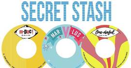 Secret Stash Update News - Feb 2017 image
