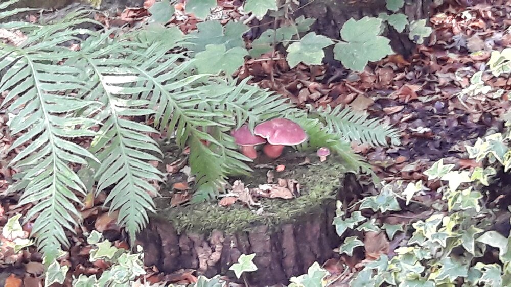 20170921_135632.jpg