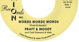 Pratt & Moody - Word Word Words - Timmion  Records - Out now image