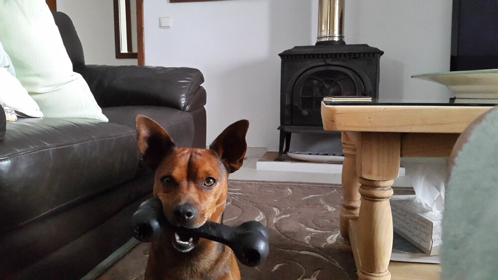 20160917_182820.jpg