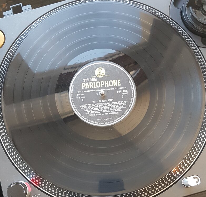 20190322_143617.jpg