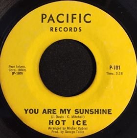 You Are My Sunshine HI.jpg