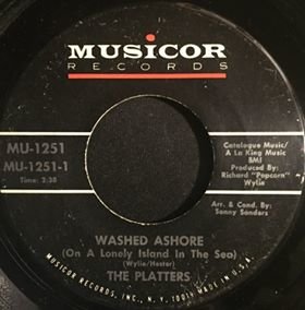 Washed Ashore P.jpg