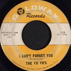 I Cant Forget You YY.jpg