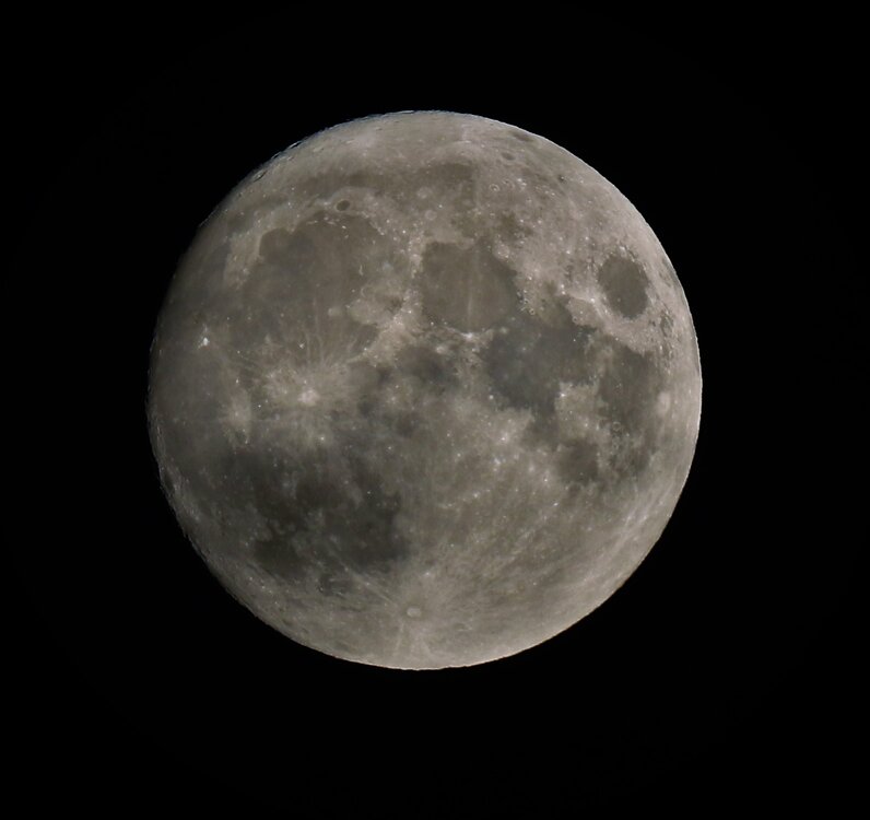 IB2A6219 (2).JPG
