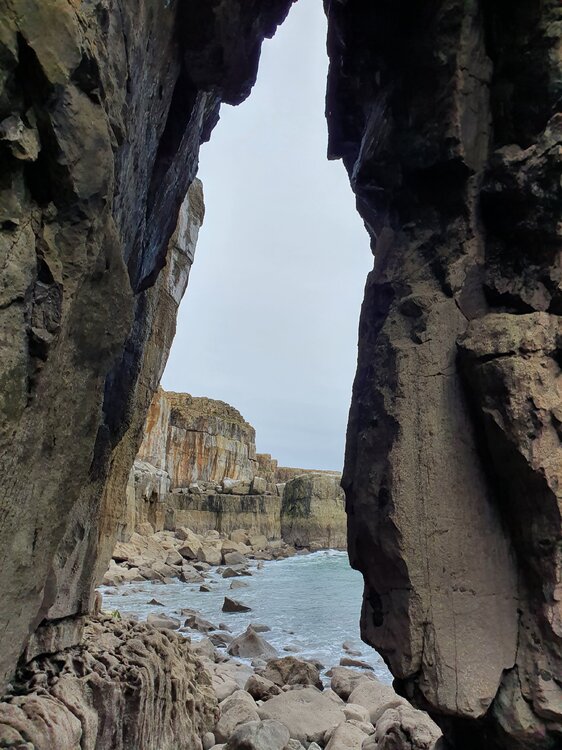 20201003_162125.jpg
