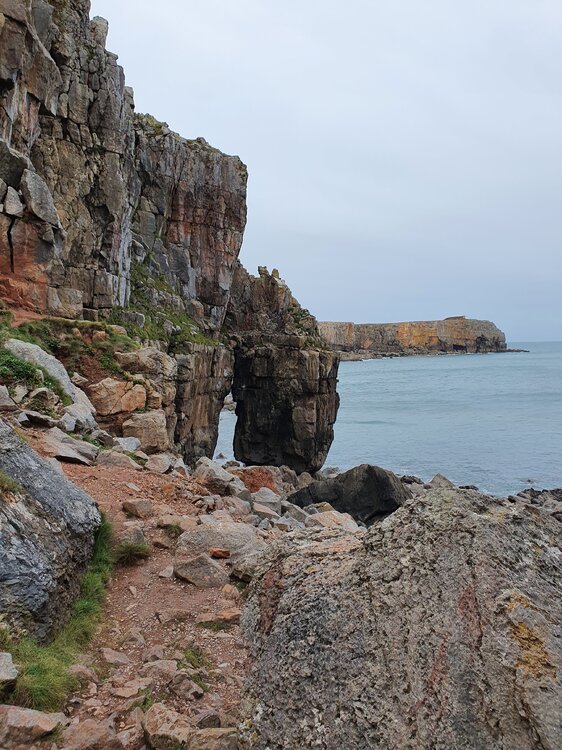 20201003_163014.jpg