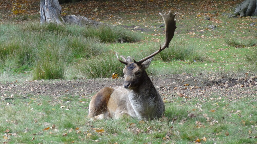 DSC01587.JPG