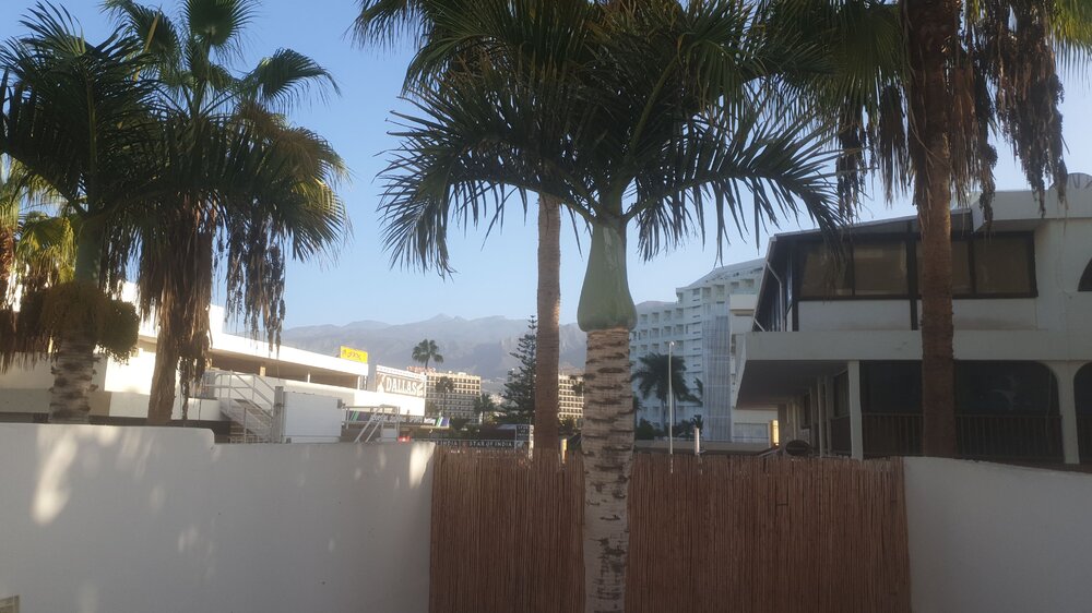 20201101_105025.jpg
