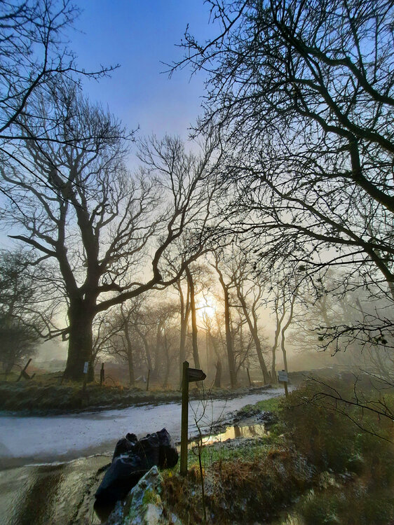 20201231_123800.thumb.jpg.334d69da7ff16cdd98efb43895e472d1.jpg