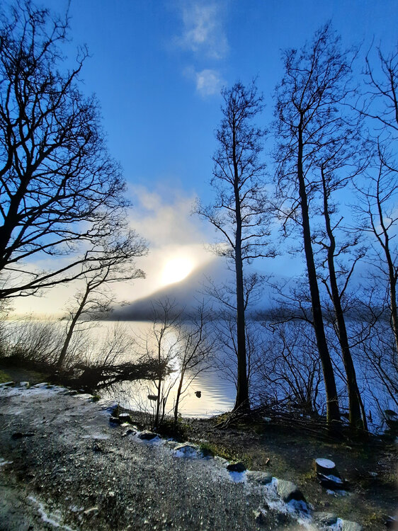 20201231_130627.thumb.jpg.70edff16d195c26ebb4547781b1162de.jpg