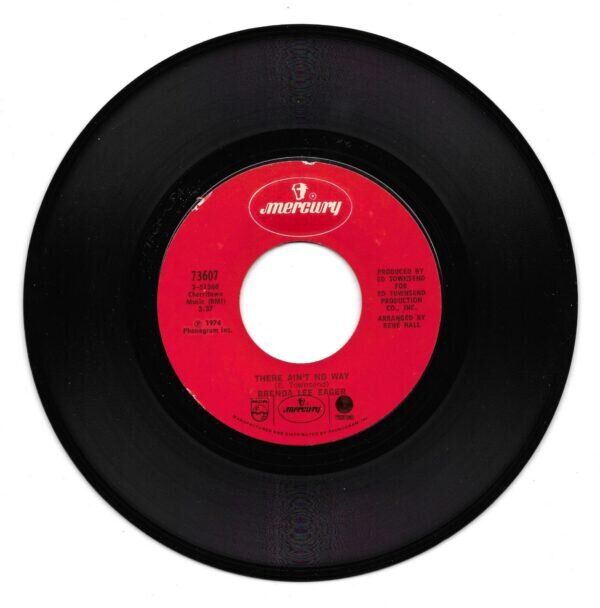 Brenda-Lee-Eager--600x608.jpg.bc53cc3169a1f2410a13485e6eaee2f3.jpg