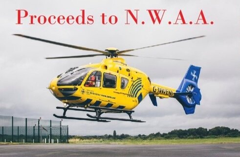 NorthWestAirAmbulance.jpg.c0225108619dd2e3ba7a27ae35c6f0eb.jpg