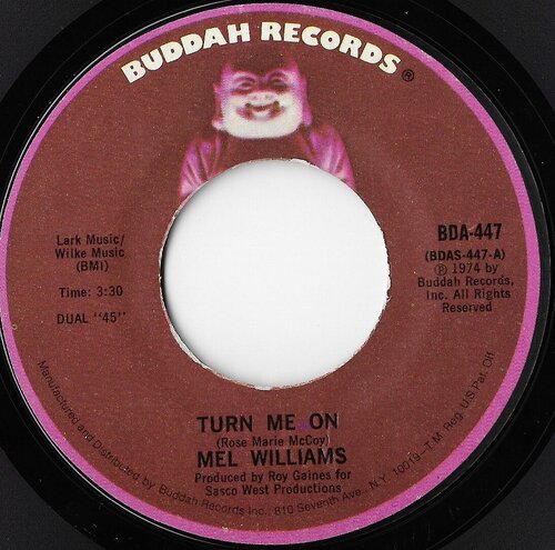 Mel williams Turn me on.jpg