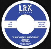 Danny Toeman - If What You Say Is What You Mean - LRK Records image
