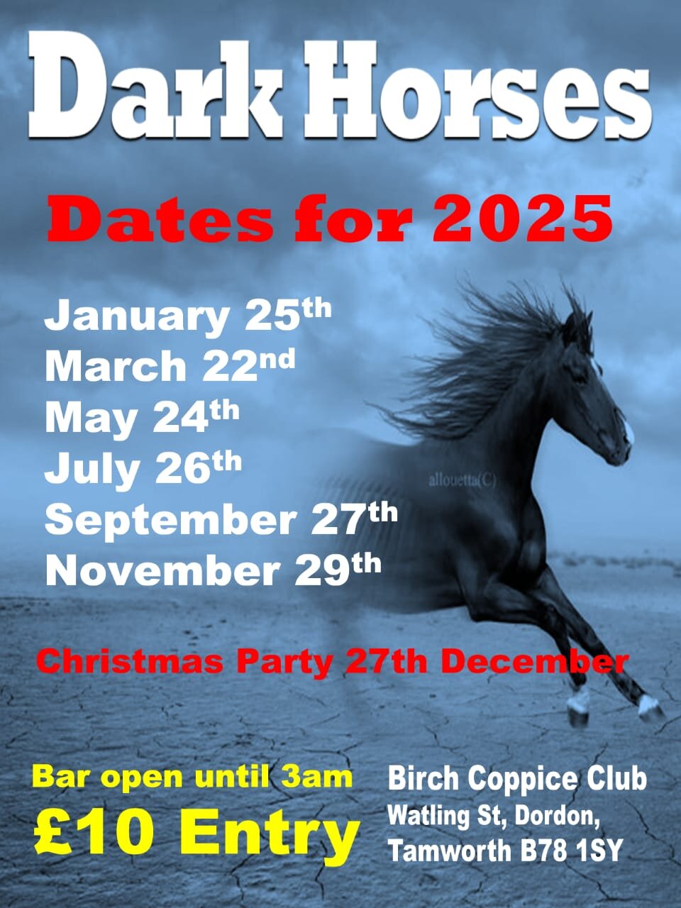 Dark Horses Niter  Dordon Tamworth