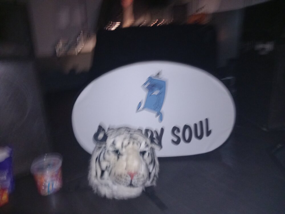 20250503_205909.jpg