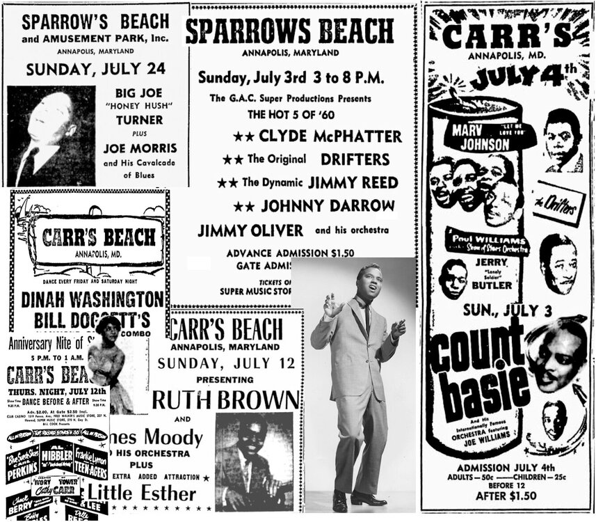 CarrsBeachSparwsBchMont.jpg