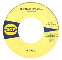 SOUL - Burning Spear / Do Whatever You Want To Do - BGP cover
