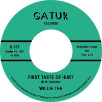 cover Willie Tee - First Taste of Hurt / I'm Having so Much Fun - Repro