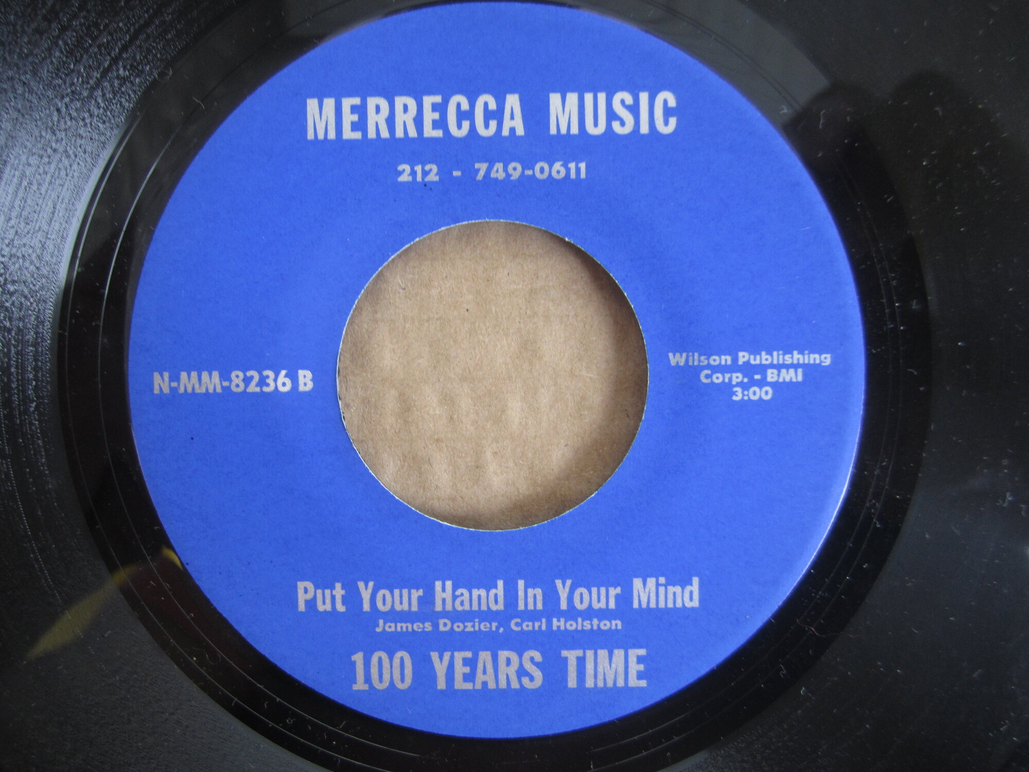 100 Years Time - put your hand in your mind MERRECCA.JPG