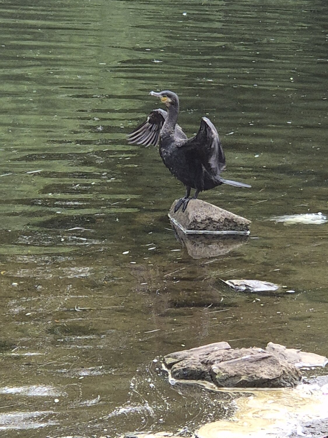 20250709_093057.jpg