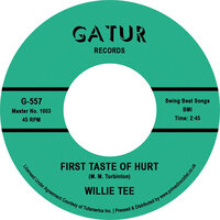 Willie Tee - First Taste of Hurt / I'm Having so Much Fun - Repro cover