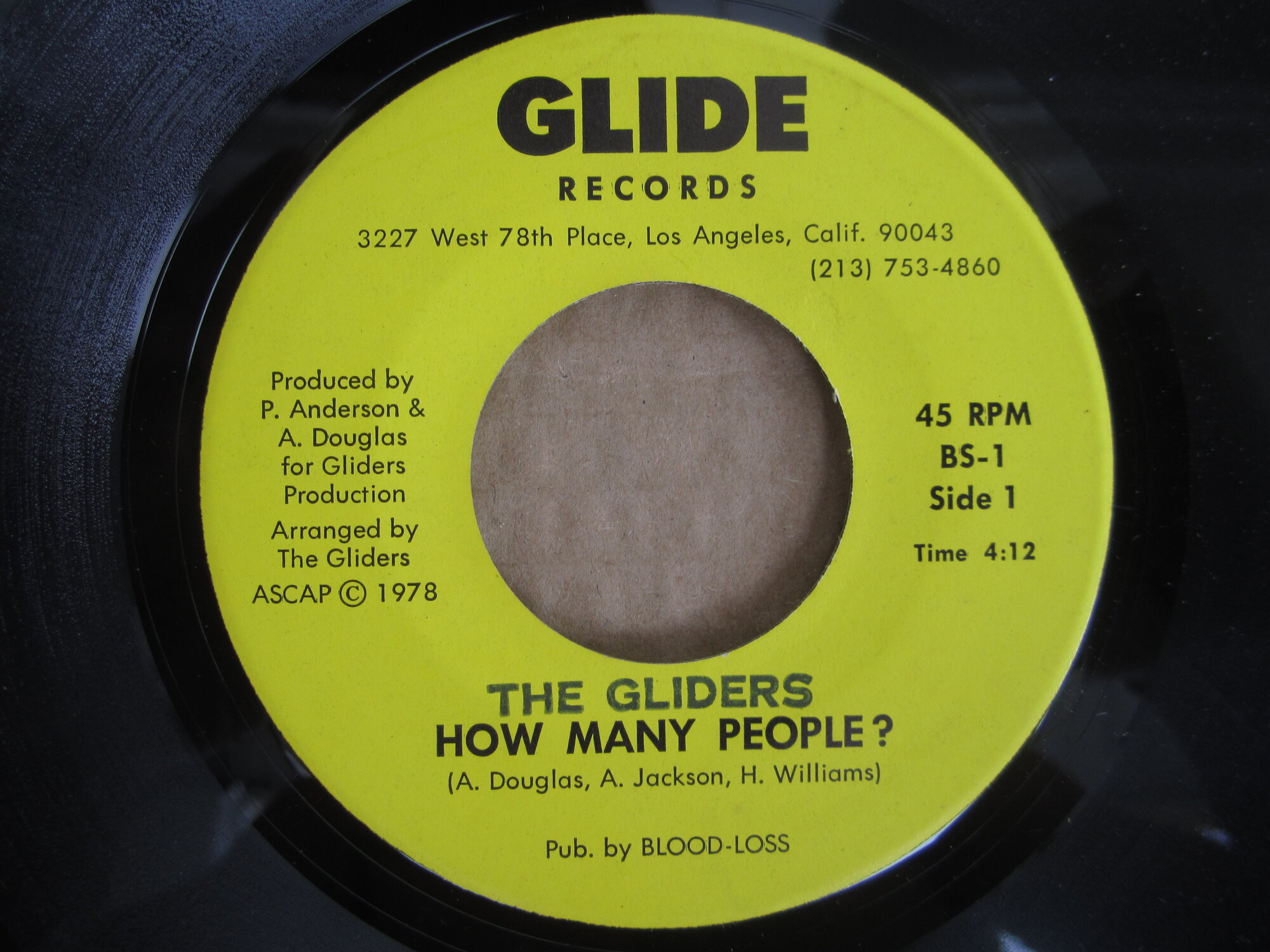 Gliders - how many people GLIDE.JPG