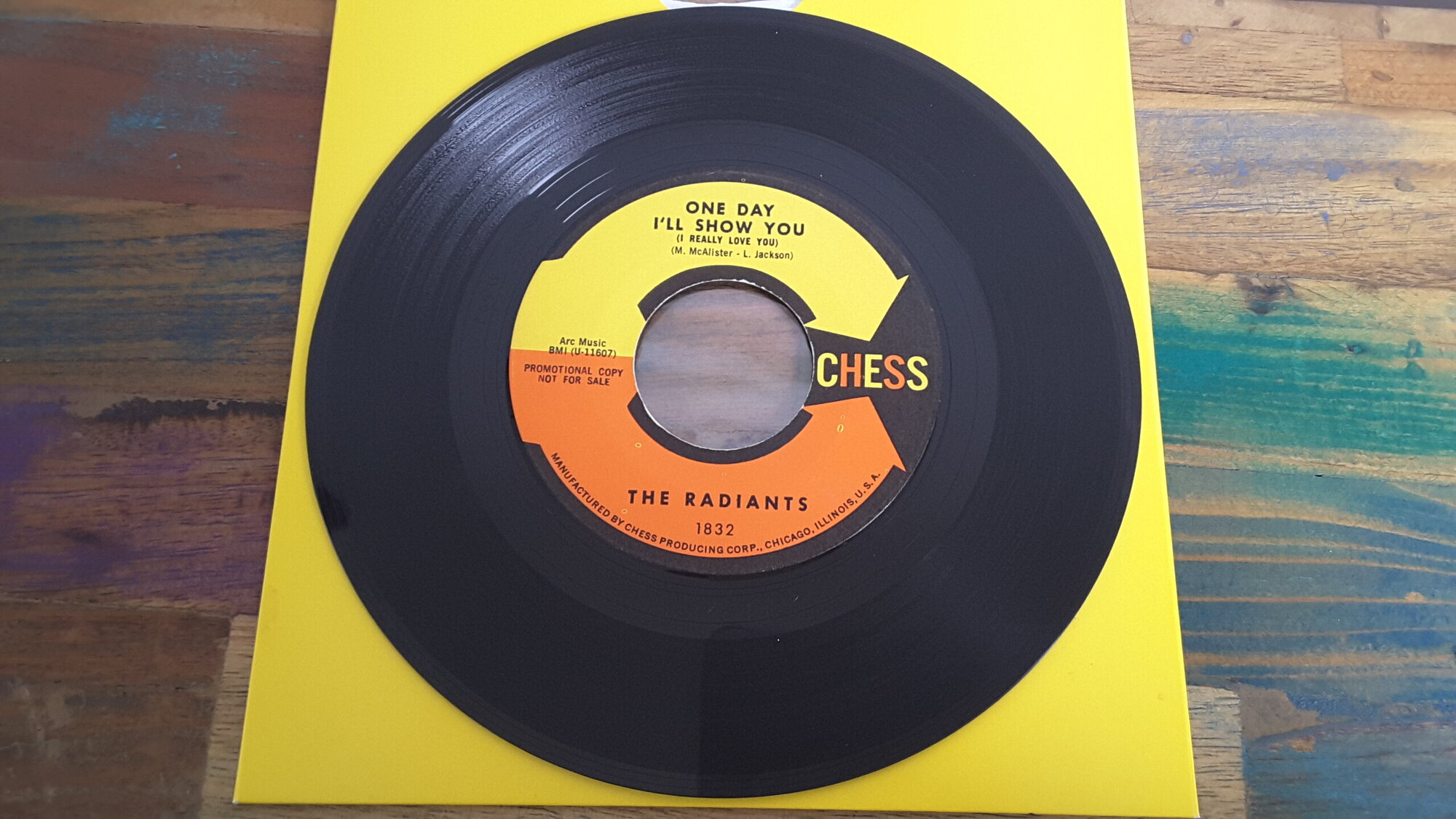 Radiants - One Day I'll Show You.jpg